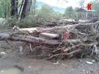 Bjeline nakon poplave Bjeline nakon poplave