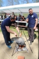 Jedanaesta Kotorvaroška kotlićijada 2019