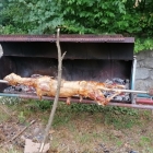 IMG_20210704_130541