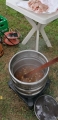IMG_20210704_125748