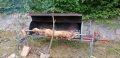 IMG_20210704_130541
