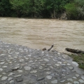 20140517_152800