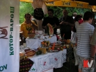 Kotorvarosko-kulturno-ljeto-2012-20