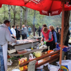Sedma tradicionalna kotorvaroška kotlićijada 2015