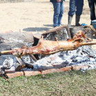Sedma tradicionalna kotorvaroška kotlićijada 2015