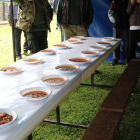 Sedma tradicionalna kotorvaroška kotlićijada 2015