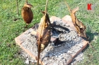 Sedma tradicionalna kotorvaroška kotlićijada 2015