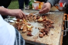 Sedma tradicionalna kotorvaroška kotlićijada 2015