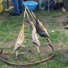 Kotor Varoš osma tradicionalna kotlićijada 2016