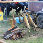 Kotor Varoš osma tradicionalna kotlićijada 2016