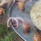 Kotor Varoš 27.04.2014 šesta tradicionalna kotlićijada