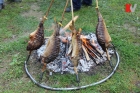 Kotor Varoš 27.04.2014 šesta tradicionalna kotlićijada