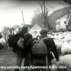 Stara-opstina-sada-apartmani-Brko