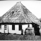 begovat