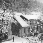 bobas-borovo